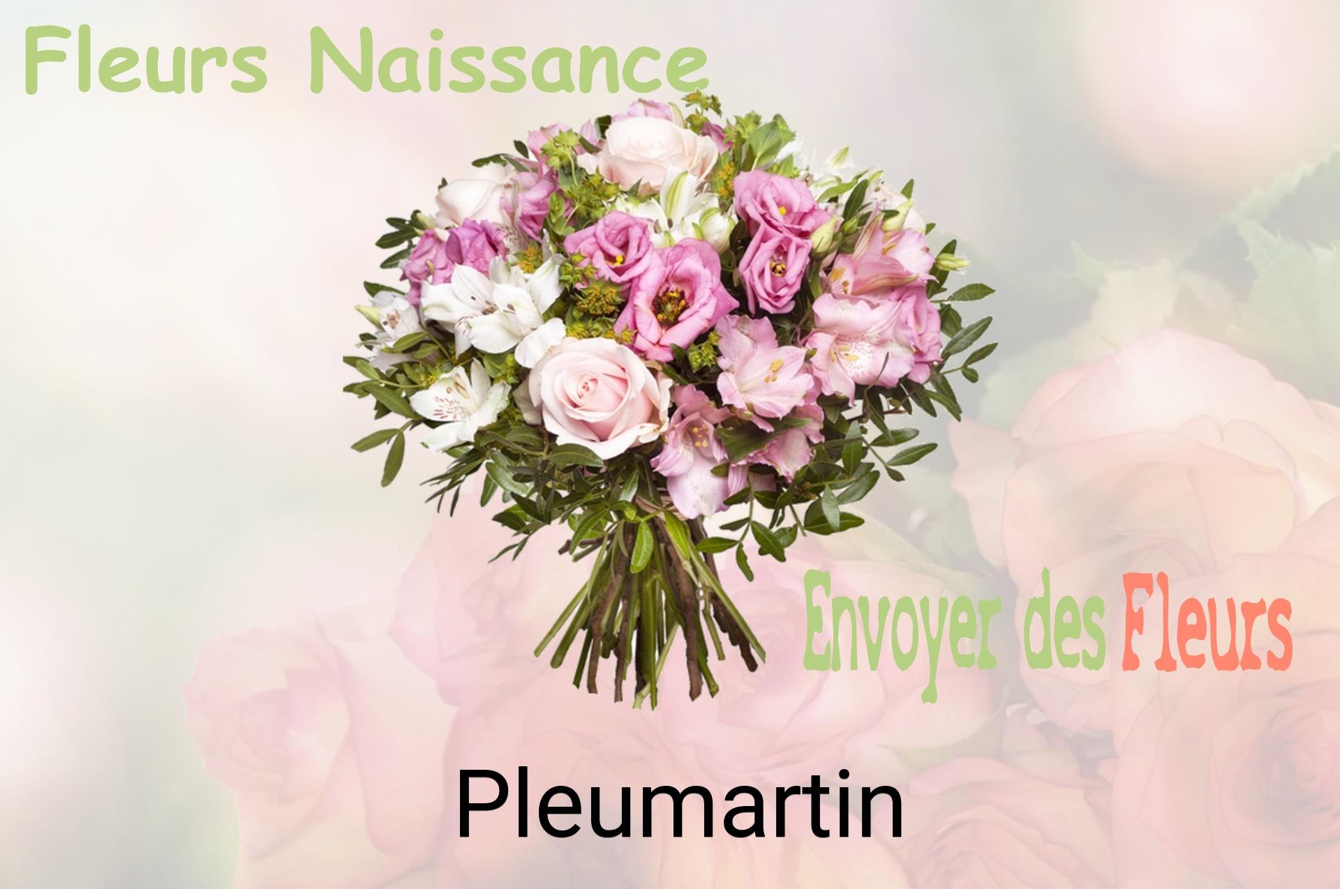 Bouquet de fleurs de naissance livré à Pleumartin