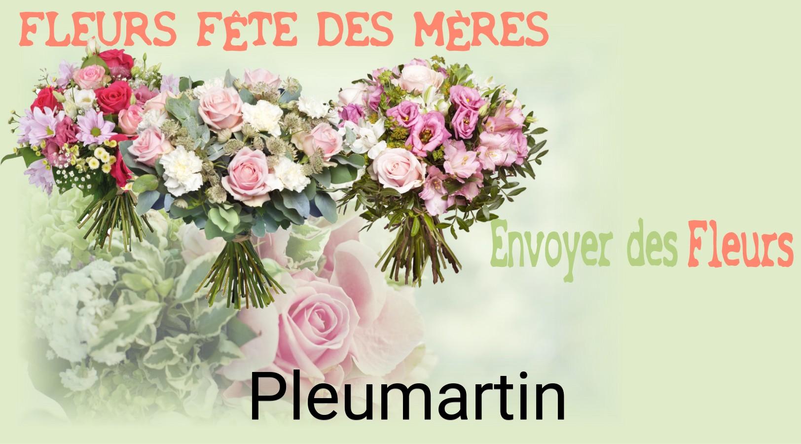 Bouquet de Fête des Mères livré à Pleumartin